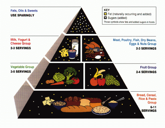 US Department of Agriculture Food Pyramid