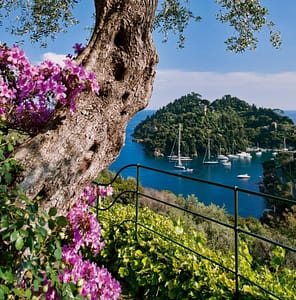 View from Belmond Hotel Splendido in Portofino