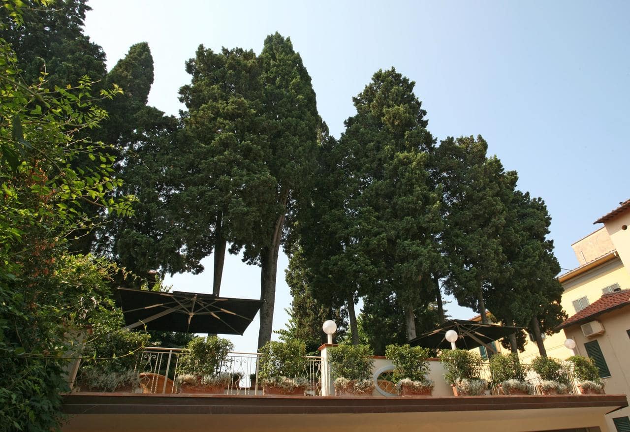 Pisa - Hotel Bologna, garden