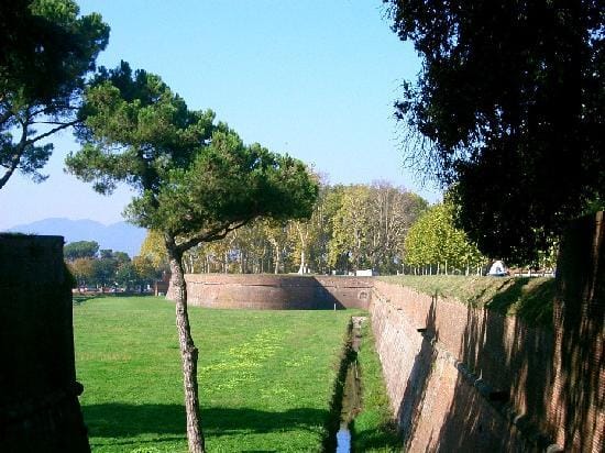 Lucca walls