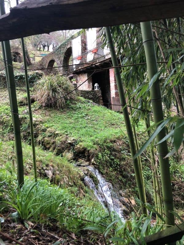 B&B Antico Frantoio Relais in Pietrasanta