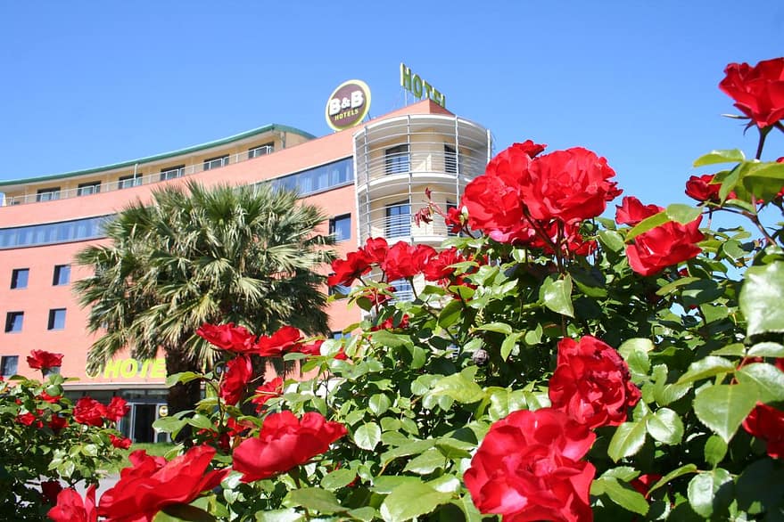 Hotel Pisa